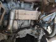 Abgaskühler AGR-Kühler Honda CR-V, IV 2011.06 - 2015.12 18750rz0g011m2, 1205000100 211406