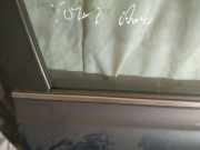 Zierleiste Leiste - Vorne Rechts Toyota Avensis, II 2003.04 - 2006.03 Gebraucht,