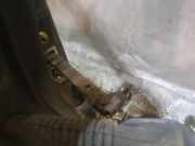 Türfangband Türbremse Türstopper - Vorne Rechts Mazda MPV, III 1999.08 - 2006.02 Gebraucht ,