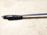 Dachreling Rechts Citroen C4 Grand Picasso, I 2006.01 - 2013.06 Gebraucht,