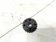 Riemenscheibe Kurbelwelle Skoda Octavia, I 2000.11 - 2004.02 facelift 038105283e,