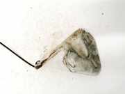 Rollenführung Schiebetür Peugeot Boxer, 2002.04 - 2006.04 facelift b935,