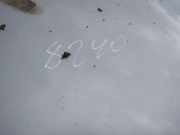 Kotflügel - Vorne Rechts Lexus IS, II 2005.10 - 2013.03 pilkas,