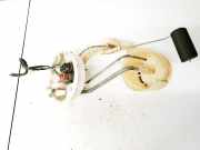 Kraftstoffpumpe Nissan Primera, P11 1996.06 - 2001.12 250602f611, 221.824064001