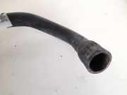 Kühlerschlauch Volkswagen Touareg, 2002.10 - 2007.09 Gebraucht, BAC