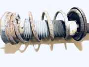 Fahrwerksfeder Hinterachse Chrysler 300, I 1998.11 - 2004.12 Gebraucht,