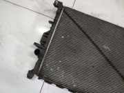 Wasserk?hler Ford S-Max, 2006.05 - 2014 Gebraucht,