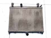 Wasserkühler Citroen C5, II 2008.02 - 2011.01 9687359980,9687359980