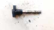 Zündspule Audi A4, B6 2000.11 - 2004.11 Gebraucht,