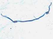 Stabilisator Vorne Volvo V40, I 1995.07 - 2000.07 Gebraucht,