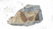 Radhausschale - Vorne Rechts Opel Astra, J 2009.12 - 2015.06 13271311,13271311