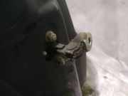 T?rfangband T?rbremse T?rstopper - Vorne Rechts Fiat Punto, 2005.10 - 2012.03 as2,