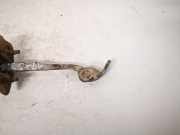 Türfangband Türbremse Türstopper - Hinten Linke Renault Megane, I 1999.03 - 2002.10 facelift Gebraucht,