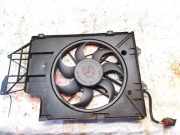 Kühlerlüfter Lüftermotor Volkswagen Transporter, T5 2003.04 - 2009.11 7h0121207d,3136613303 brs