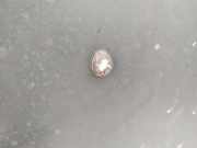 Waschwasserdüse Scheibenreinigung Renault Scenic, I 1996.01 - 1999.09 Gebraucht,