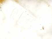 Scheibenwaschbehälter Vorne Wischwasserbehälter Fiat Ducato, 1994.03 - 2002.04 Gebraucht,