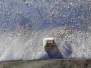 Waschwasserd?se Scheibenreinigung Lancia Zeta 1995 - 2002 Gebraucht,