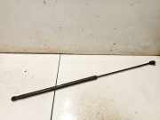 Gasdruckfeder Kofferraum Volkswagen Passat, B6 2005.08 - 2010.11 Gebraucht, BMA