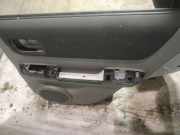 Türverkleidung - Hinten Rechts Nissan X-Trail, 2001.06 - 2007.06 Gebraucht,