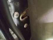 Türschloss Stangen - Vorne Linke Citroen C5, II 2008.02 - 2011.01 Gebraucht,