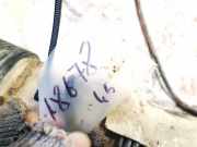 Schlauch f?r Luftversorgung Citroen Xsara Picasso, I 2004.05 - 2011.12 facelift 3m519a673hf,3m51-9a673hf