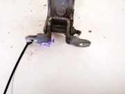 T?rscharnier Hinten Renault Laguna, II 2001.03 - 2006.05 Gebraucht,