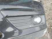 Kühlergrill - Vorne Linke Ford Focus, 2004.11 - 2008.06 Gebraucht,