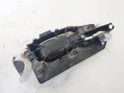 Türinnengriff - Hinten Rechts Peugeot 307, 2005.06 - 2008.06 9643604577,