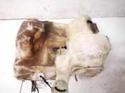 Scheibenwaschbehälter Vorne Wischwasserbehälter Renault Laguna, II 2001.03 - 2006.05 Gebraucht,