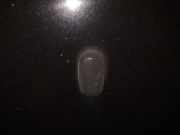 Waschwasserdüse Scheibenreinigung Ford Focus, 2004.11 - 2008.06 Gebraucht,