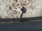 Waschwasserdüse Scheibenreinigung Renault Laguna, II 2001.03 - 2006.05 Gebraucht,