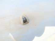 Waschwasserdüse Scheibenreinigung Nissan Sunny, B12 1986.02 - 1990.07 Gebraucht,
