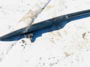 Dachreling Linke Volkswagen Sharan, 7M 1995.09 - 2000.04 7m0960025g,