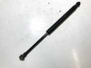 Gasdruckfeder Kofferraum Lexus GS, III 2005.06 - 2007.06 645300w090, 64530-0w090