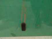 Waschwasserdüse Scheibenreinigung Volkswagen Golf, III 1993.07 - 1999.04 Gebraucht,