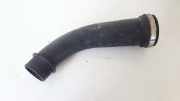 Schlauch für Luftversorgung Renault Megane, II 2002.11 - 2006.06 8200218987,