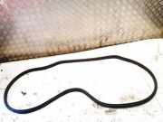 Türdichtung - Hinten Linke Renault Zoe I 2012 - 2020.06 Gebraucht,