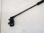 Gasdruckfeder Kofferraum Lexus IS, II 2005.10 - 2013.03 534500w061,53450-0w061