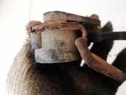 Motor Leuchtweitenregulierung Audi A6, C6 2005.01 - 2008.10 1t0907503,