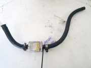 Kraftstofffilter Mercedes-Benz Vaneo 2002 - 2005 110r000025,