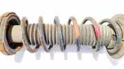 Fahrwerksfeder Hinterachse Honda Accord, 2008.05 - 2012.12 Gebraucht,