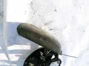 Armlehne - Mittelarmlehne Skoda Octavia, II 2009.03 - 2012.06 facelift Gebraucht,