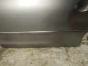 Zierleiste Tür Zier-Schutzleiste - Vorne Linke Volkswagen Polo, IV 2005.04 - 2009.11 facelift Gebraucht, BNM