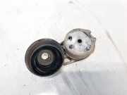 Spannrolle Land-Rover Range Rover Sport 2005 - 2013 Gebraucht,