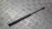 Gasdruckfeder Kofferraum Mercedes-Benz A-CLASS, W168, 1997.07 - 2001.06 318353,NA