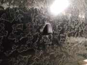 Waschwasserd?se Scheibenreinigung Volvo V50, 2004.04 - 2007.05 Gebraucht,