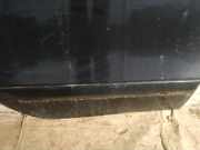 Zierleiste Tür Zier-Schutzleiste - Hinten Rechts Honda FR-V, 2004.08 - 2009.12 Gebraucht,