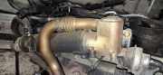 Abgaskühler AGR-Kühler Audi A5, 2007.06 - 2012.06 Gebraucht,