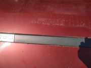 Zierleiste Tür Zier-Schutzleiste - Vorne Linke Renault Megane, II 2002.11 - 2006.06 Gebraucht,