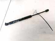 Gasdruckfeder Kofferraum Alfa-Romeo 156 1997.07 - 2003.11 60664833, 5623MF0620N